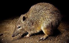 Holiday Activity Program - Kids Twilight Antics