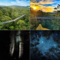 Sunlight to Starlight