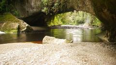 Explore the Oparara Basin and the Southern hemisphere's largest natural arch