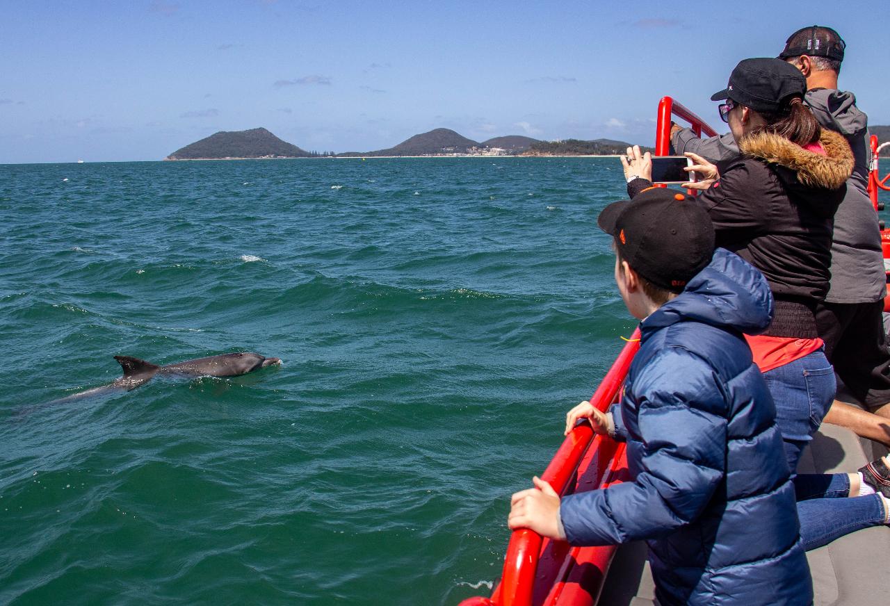 Dolphin Watching Nelson Bay Port Stephens