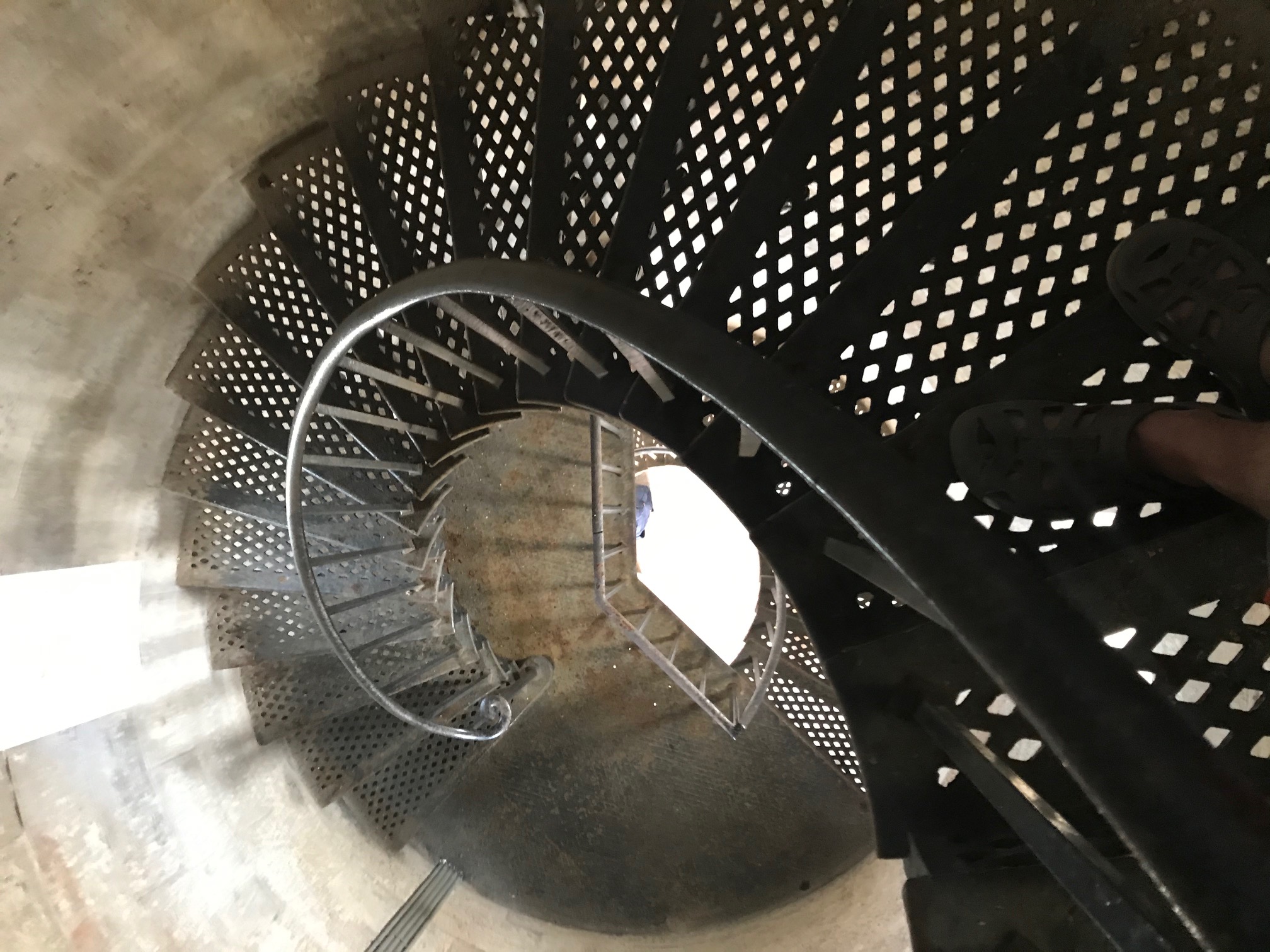 Fingal Island Eco-Walk & Lighthouse Tour