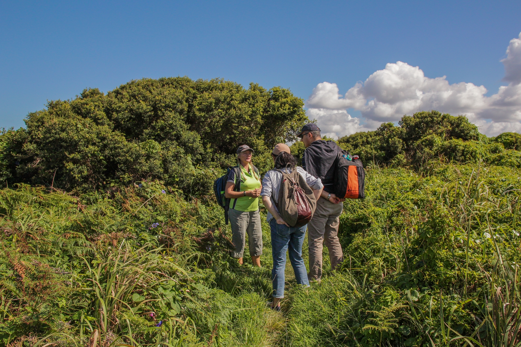 Fingal Island Eco-Walk & Lighthouse Tour