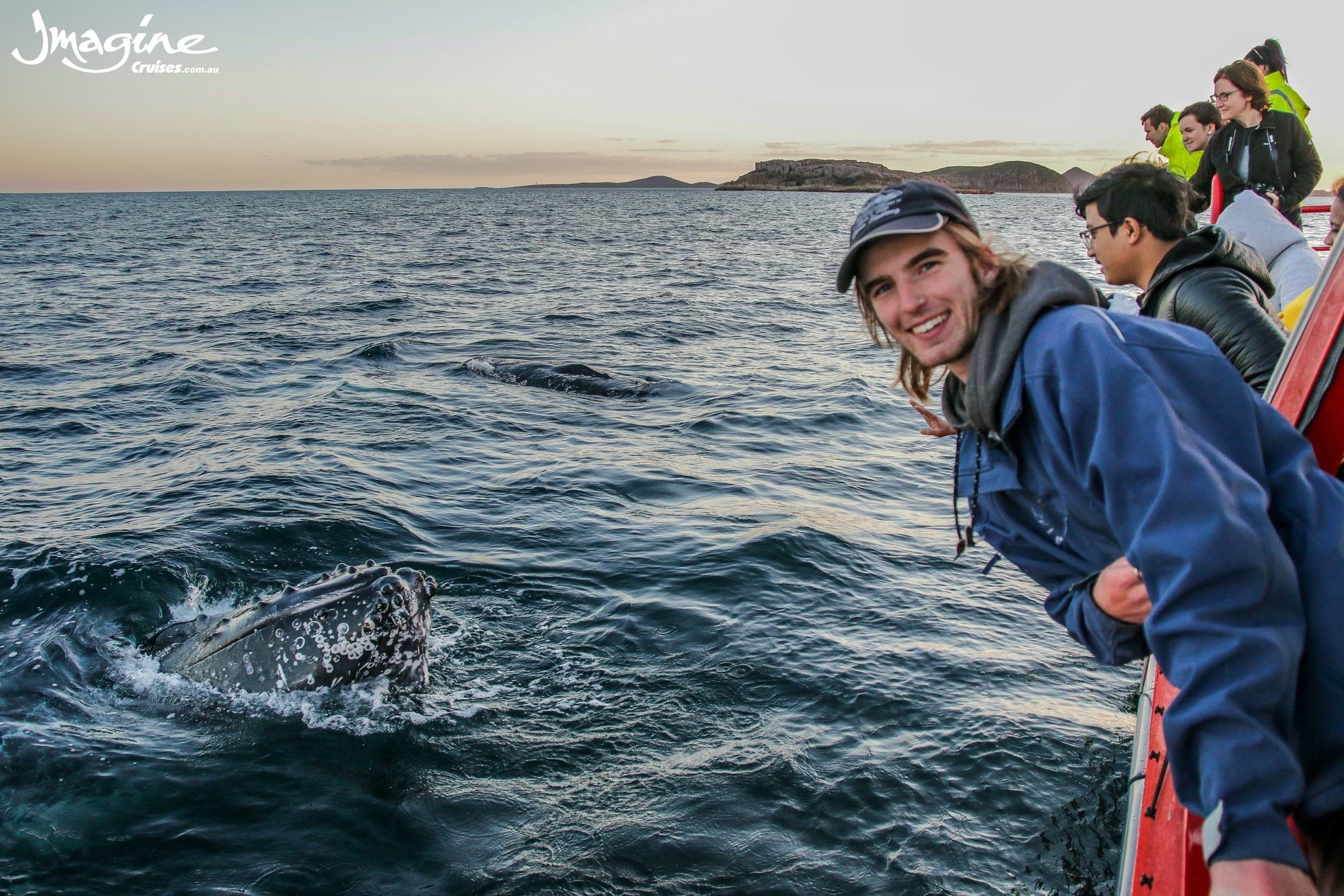 90 minute Whale Watch Express