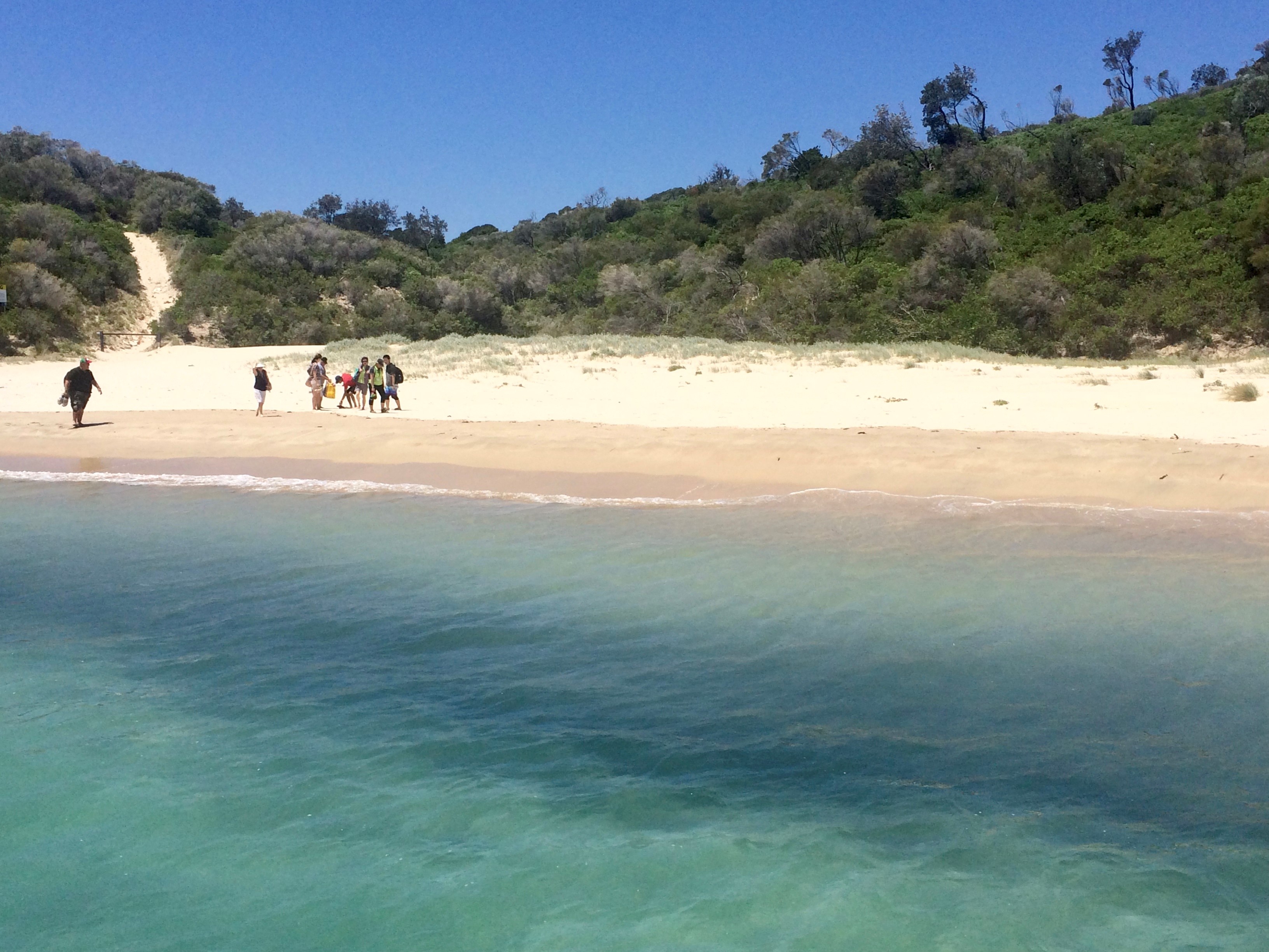 Fingal Island Eco-Walk & Lighthouse Tour
