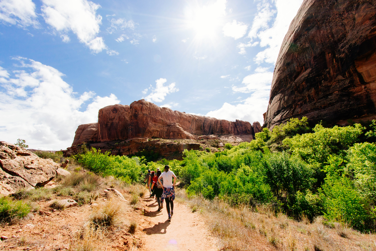 Grand Canyon Air & Hiking Tour from SEZ