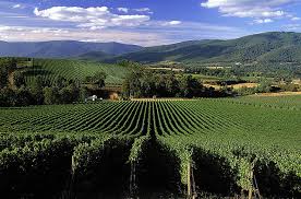 Balgownie Vinyard Restruaant and Day Spa