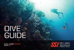 Dive Guide