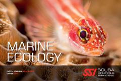 Marine Ecology