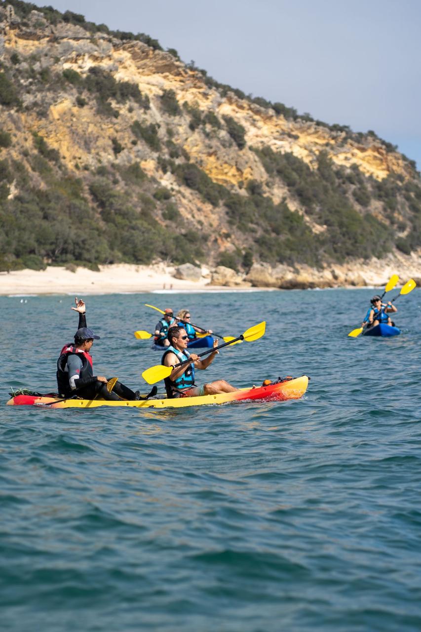 Kayak and Boat Tour