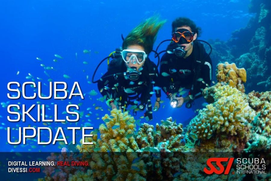 Scuba Skills Update