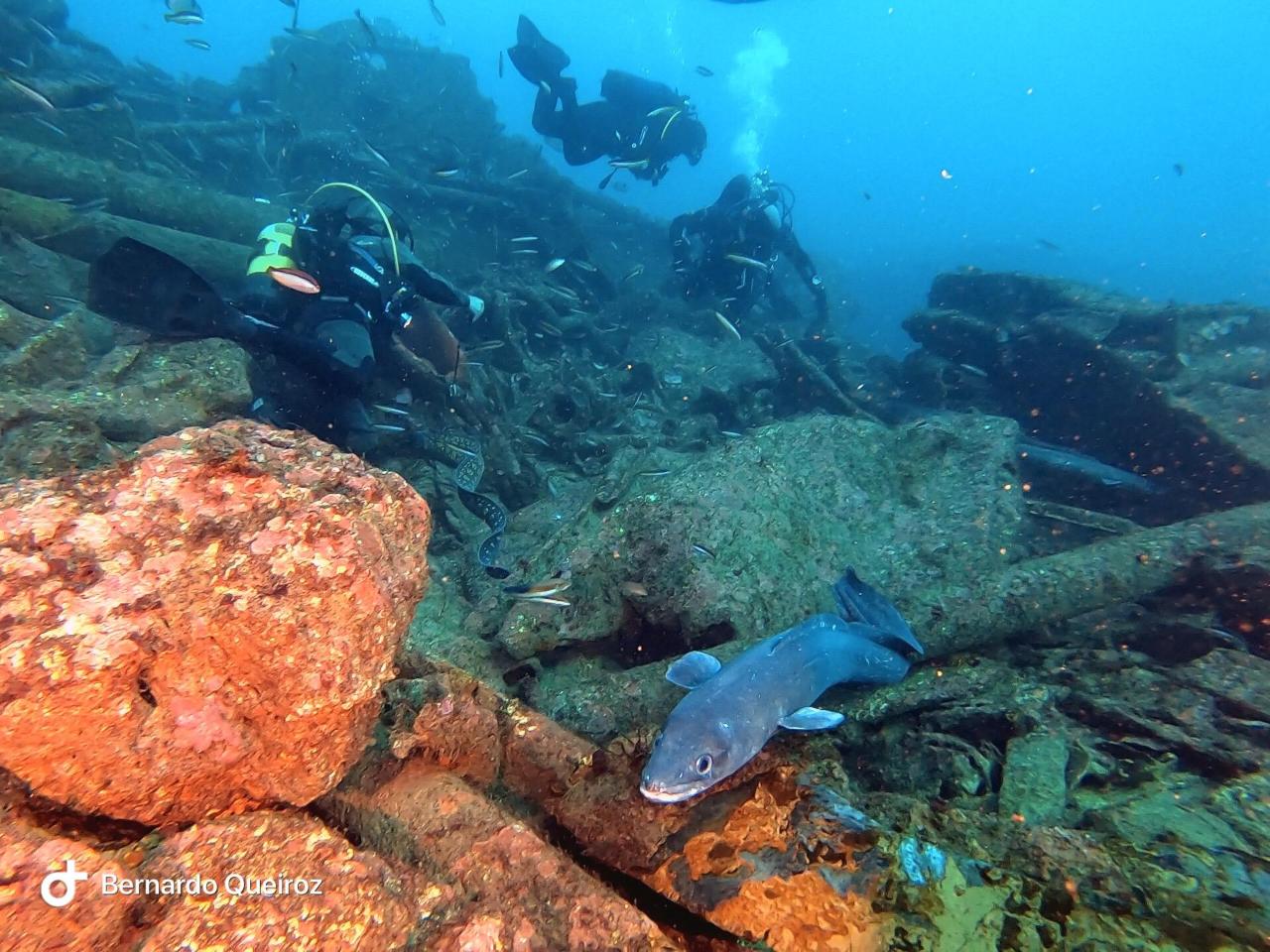 River Gurara Popa - Wreck dive