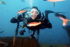 Paredes do cabo - wreck Dive