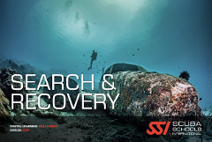 Search & Recovery