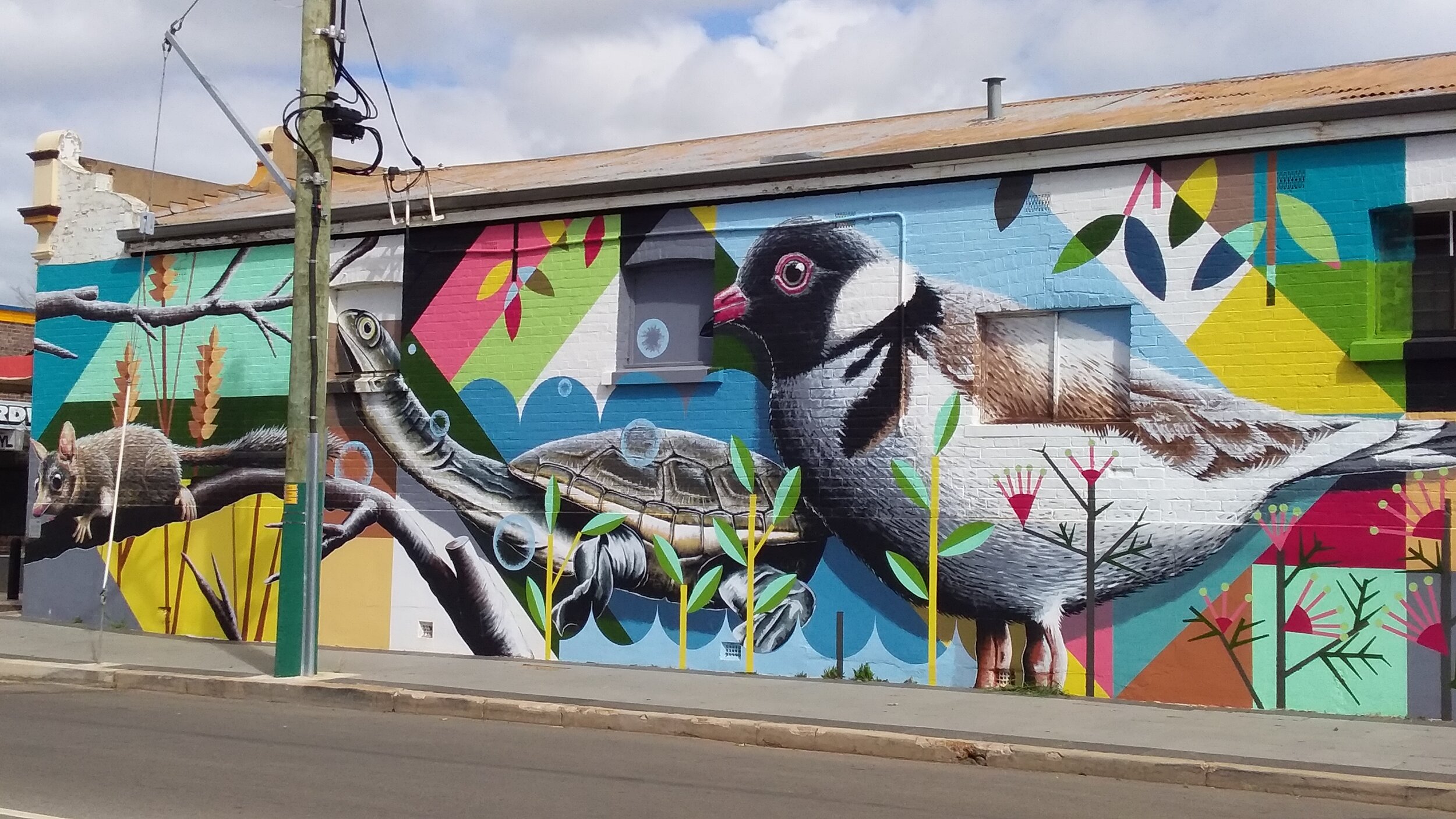 SOUTH WEST ODYSSEY WHALE WATCHING EXPERIENCE