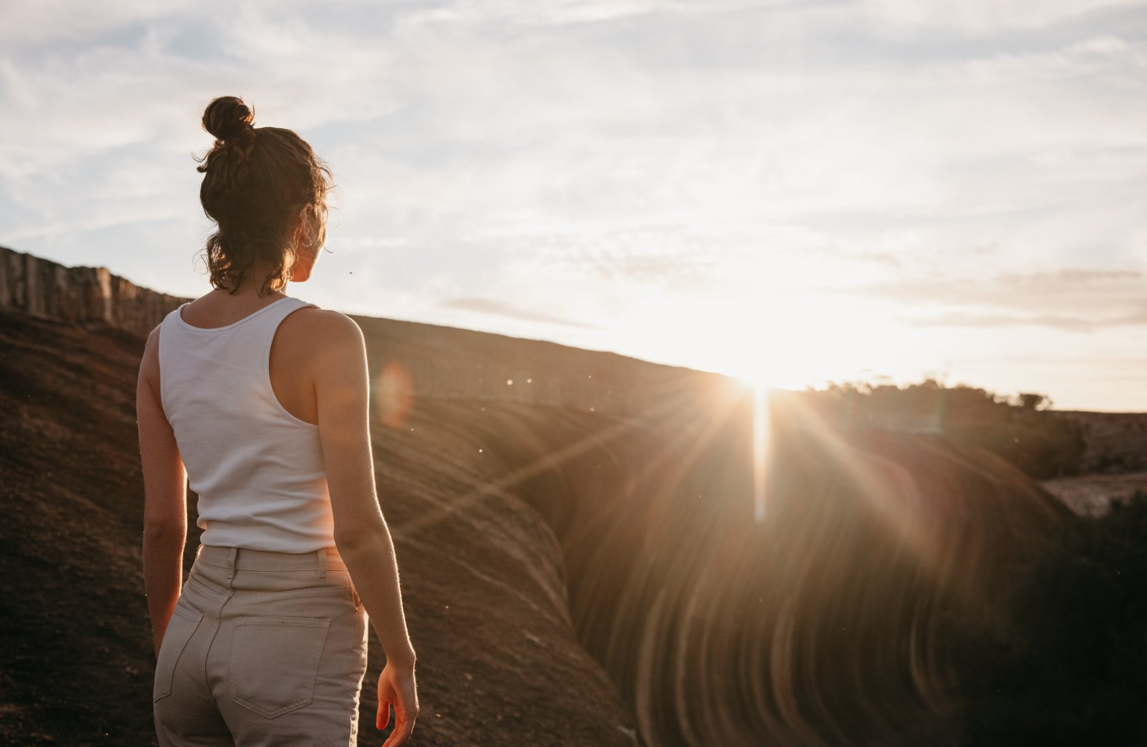 SOUTH WEST ODYSSEY WHALE WATCHING EXPERIENCE