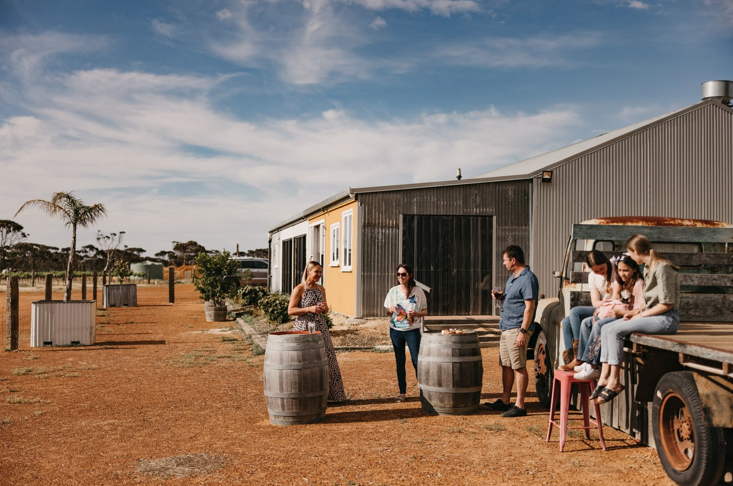 SOUTH WEST ODYSSEY WHALE WATCHING EXPERIENCE