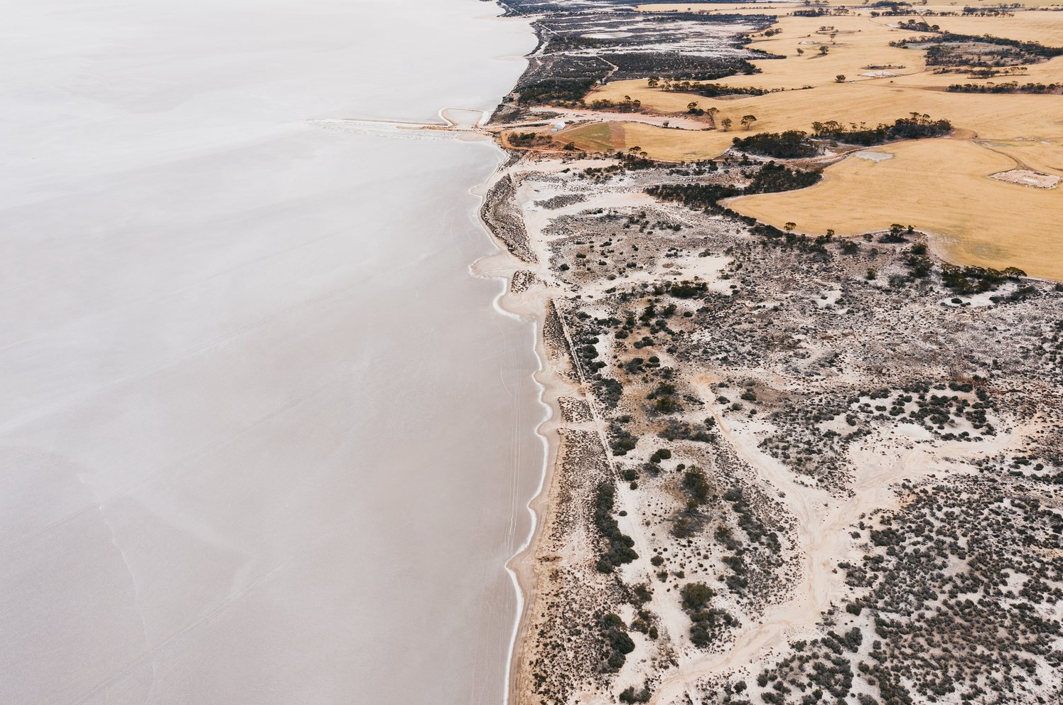 SOUTH WEST ODYSSEY WHALE WATCHING EXPERIENCE