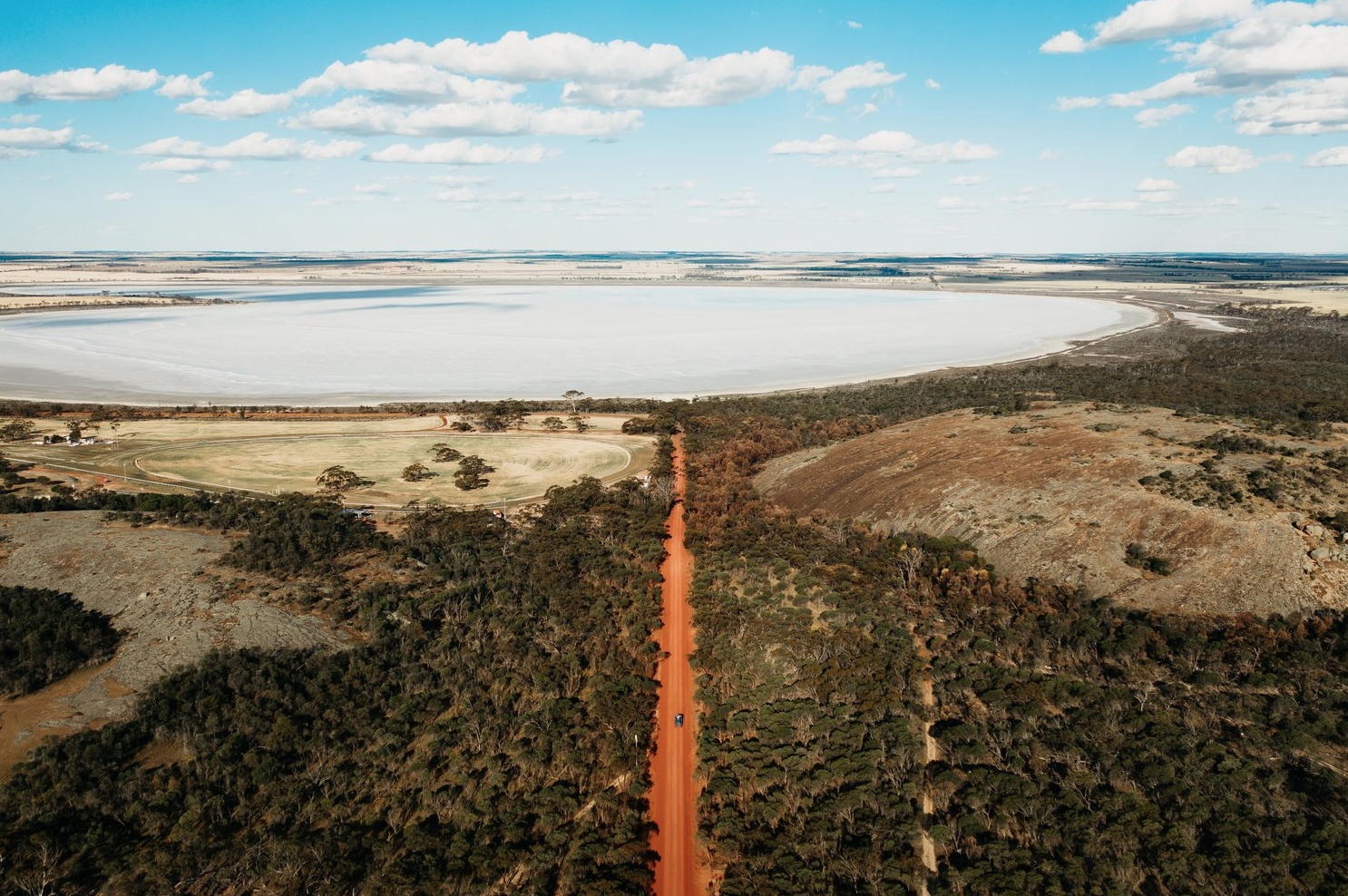 SOUTH WEST ODYSSEY WHALE WATCHING EXPERIENCE