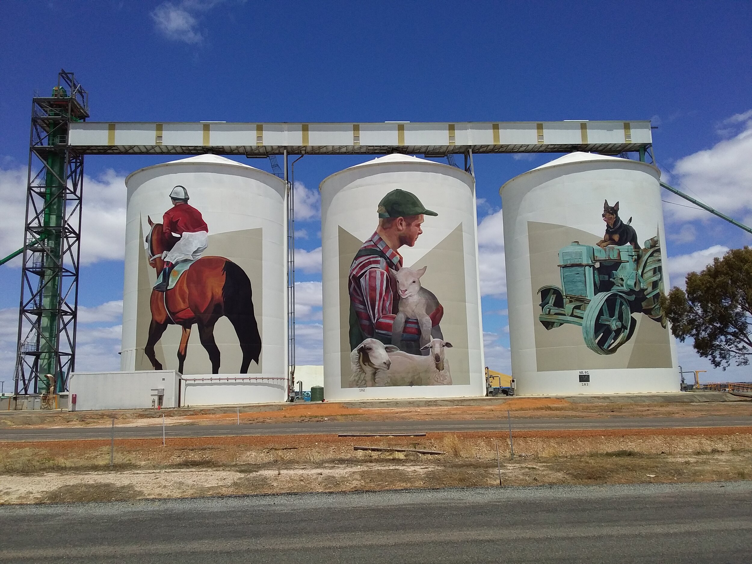 SOUTH WEST ODYSSEY WHALE WATCHING EXPERIENCE