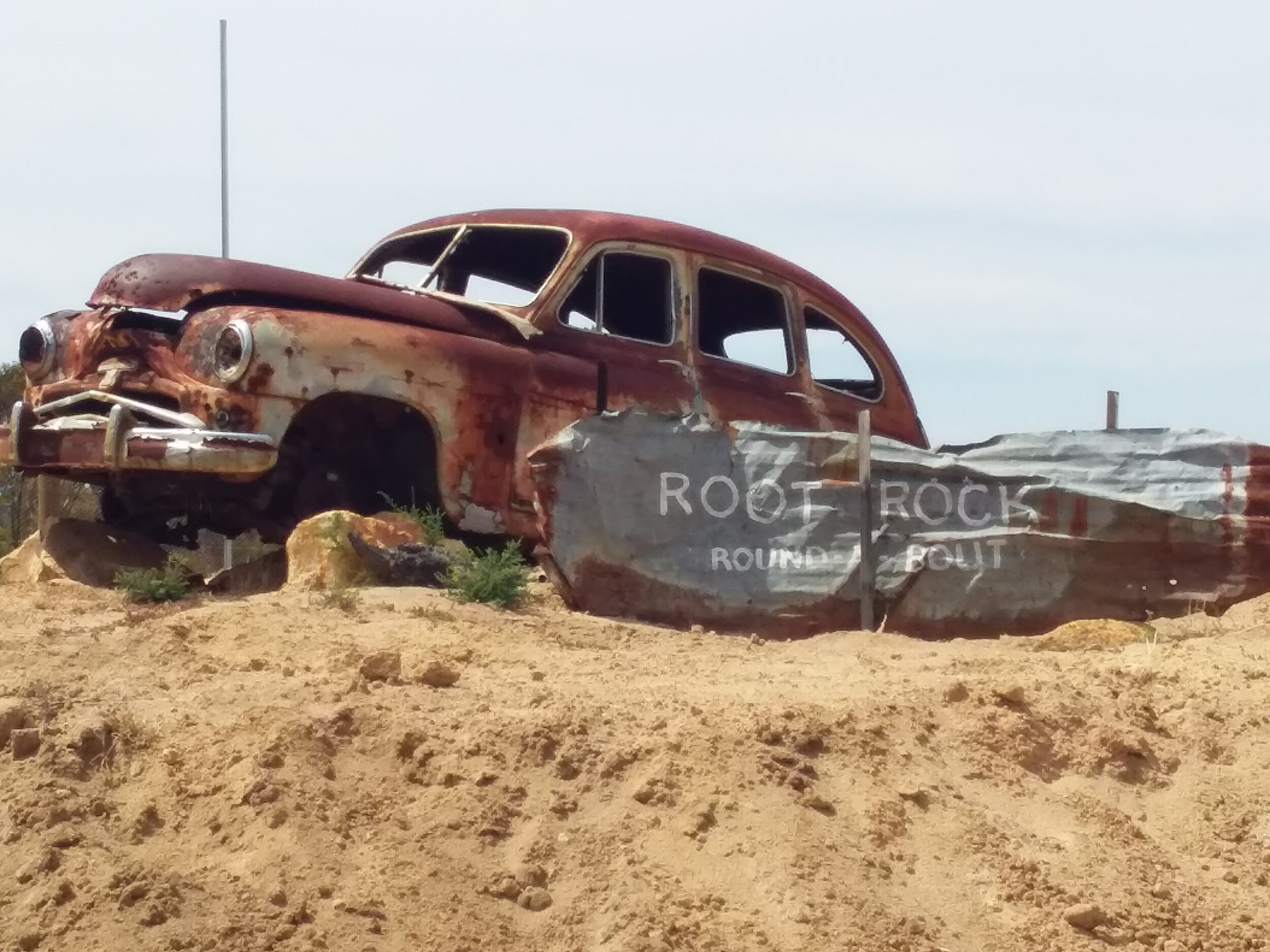 SOUTH WEST ODYSSEY WHALE WATCHING EXPERIENCE