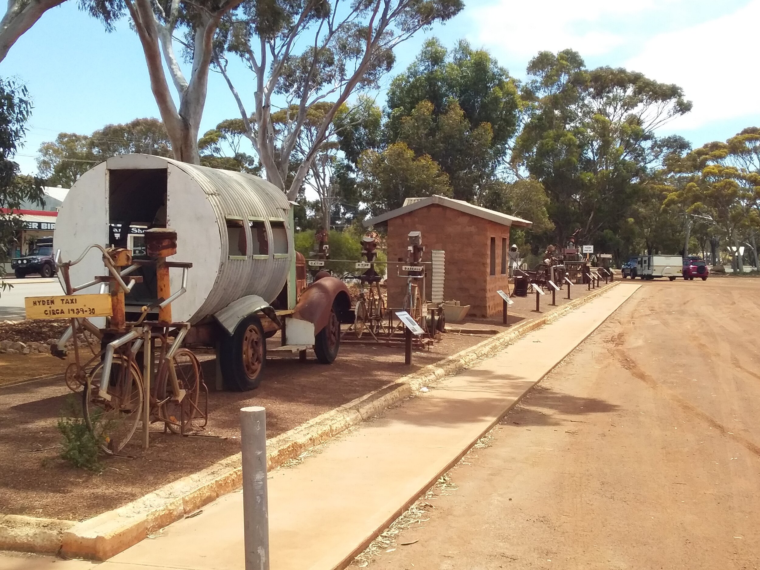 SOUTH WEST ODYSSEY WHALE WATCHING EXPERIENCE