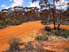 BROOMEHILL OUTBACK AND BEYOND PIONEER OVERNIGHT TOUR
