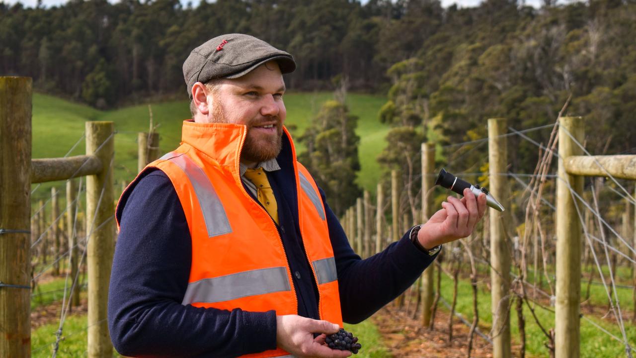 Wine, Wildlife & Vineyard Walk