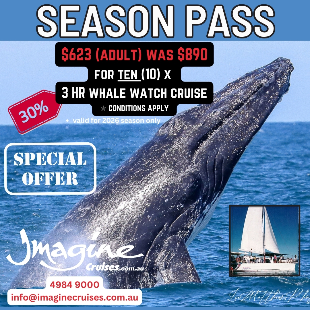 Season Pass 10  x 3 Hour Whale Watch Cruise