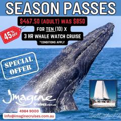 Season Pass 10  x 3 Hour Whale Watch Cruise