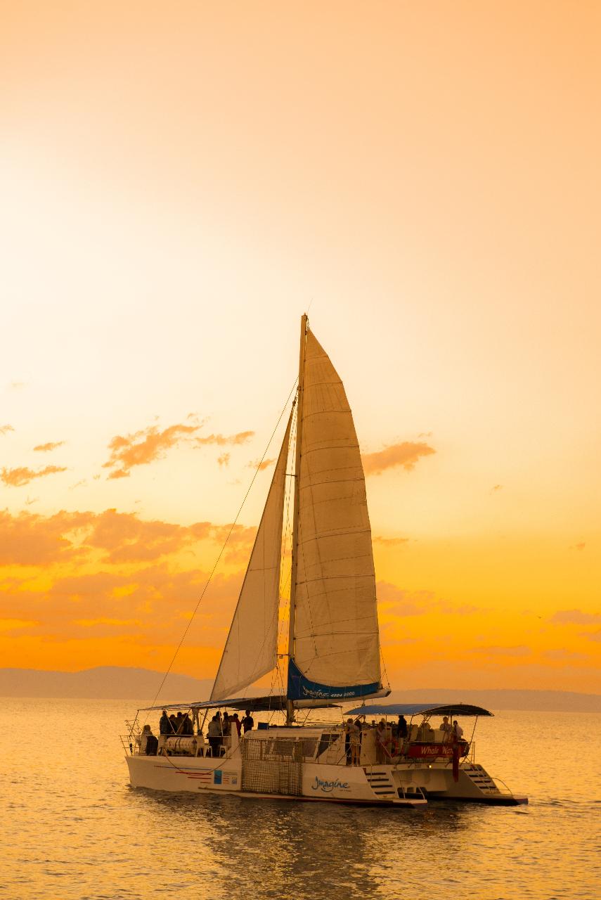 Sunset and Sip Sailing Cruise