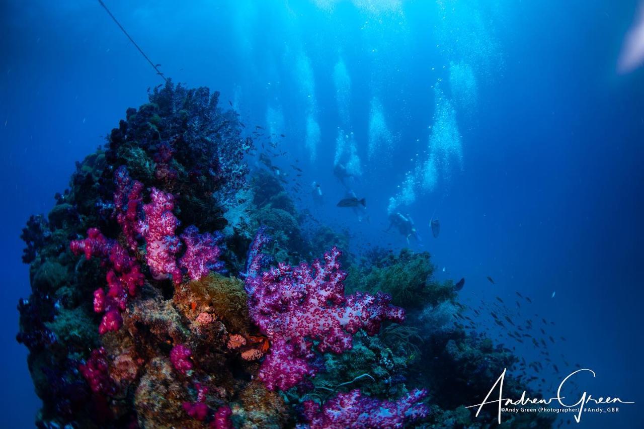 Yongala Day Trip - Certified Diver 