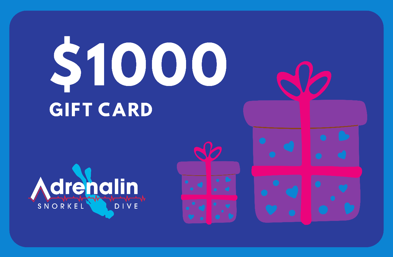 Gift Card $1000