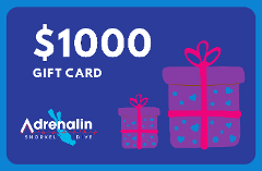 Gift Card $1000