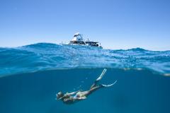 Great Barrier Reef Day Trip - Snorkeling