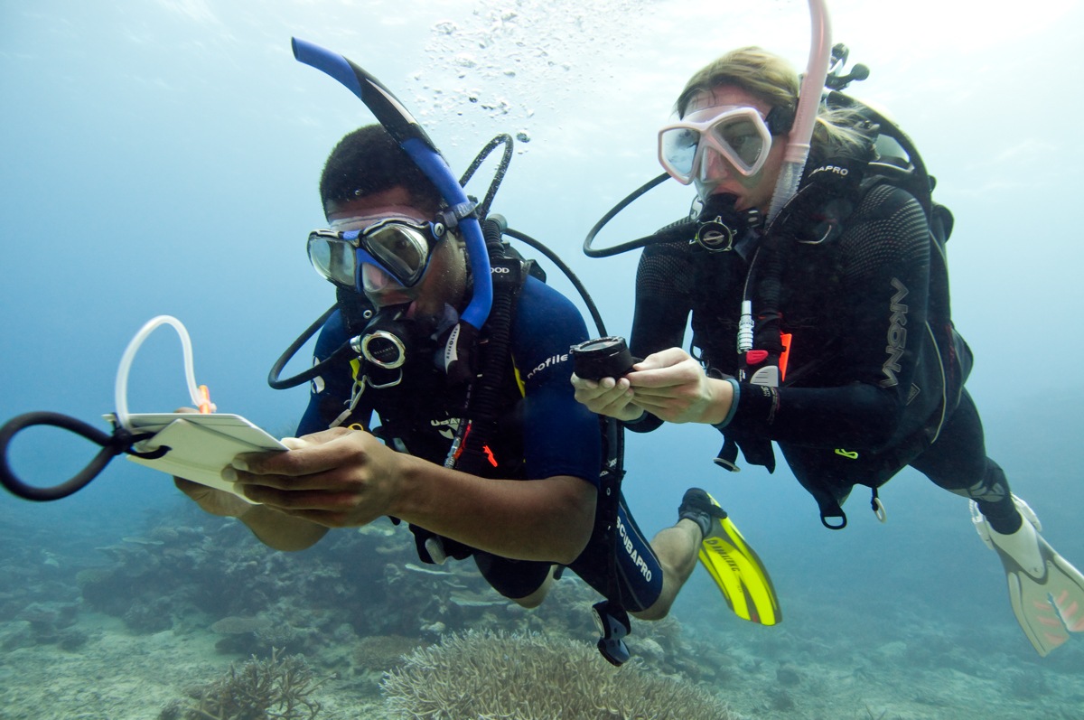 ADD ON - PADI Specialty Course