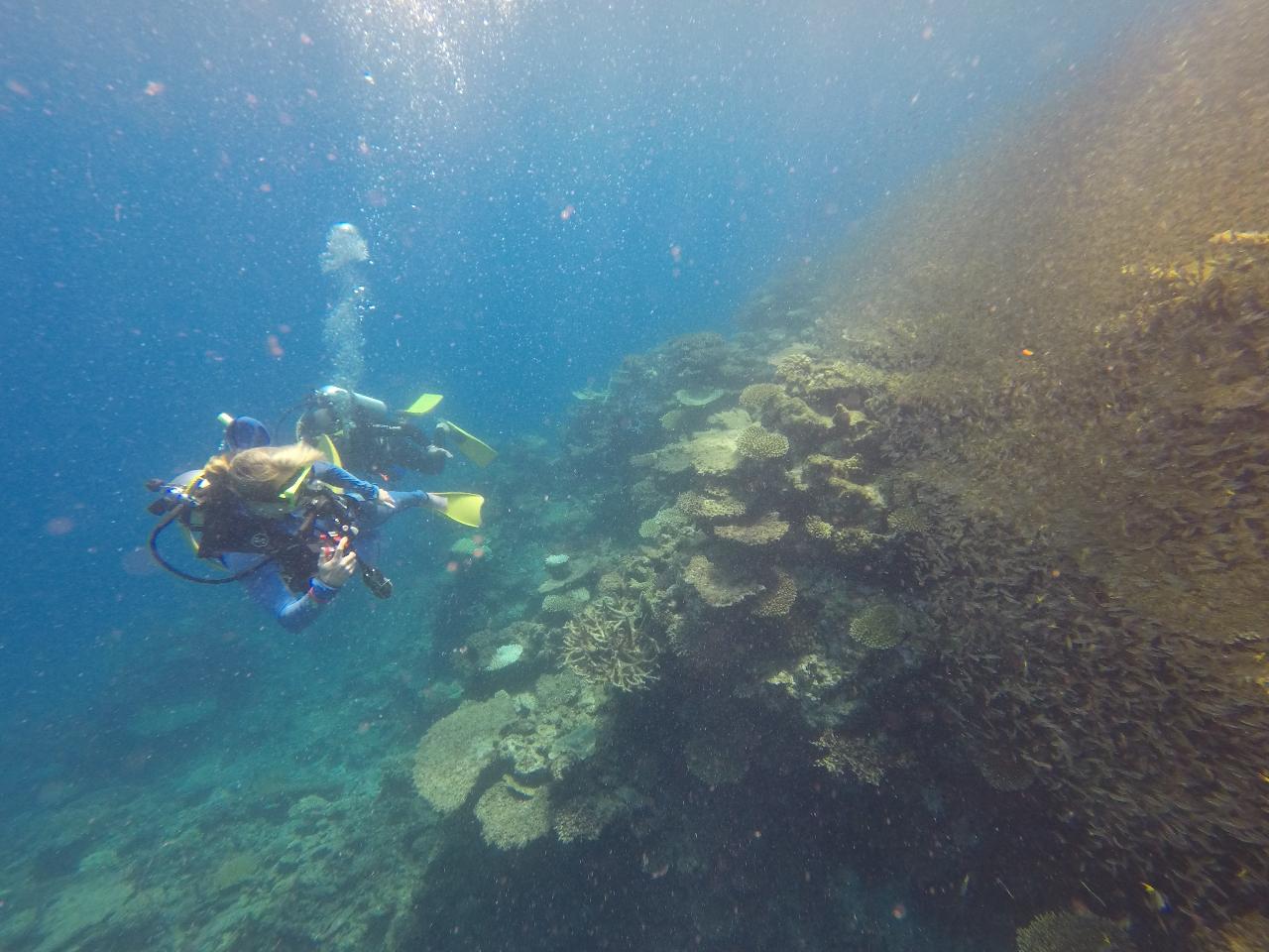  Great Barrier Reef - Special Expedition Series Keeper Reef - PART 3