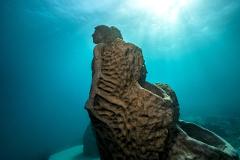 Great Barrier Reef and MOUA Snorkel Day Trip ADD On Discover Scuba Diving Option (From Townsville and Magnetic Island)