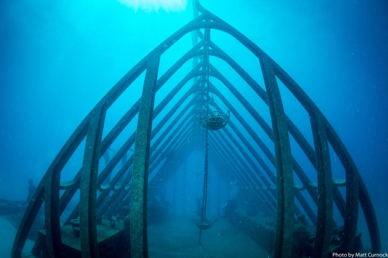 Adrenalin - Great Barrier Reef and MOUA Day Trip - Certified Diver (Departs Townsville and Magnetic Island)