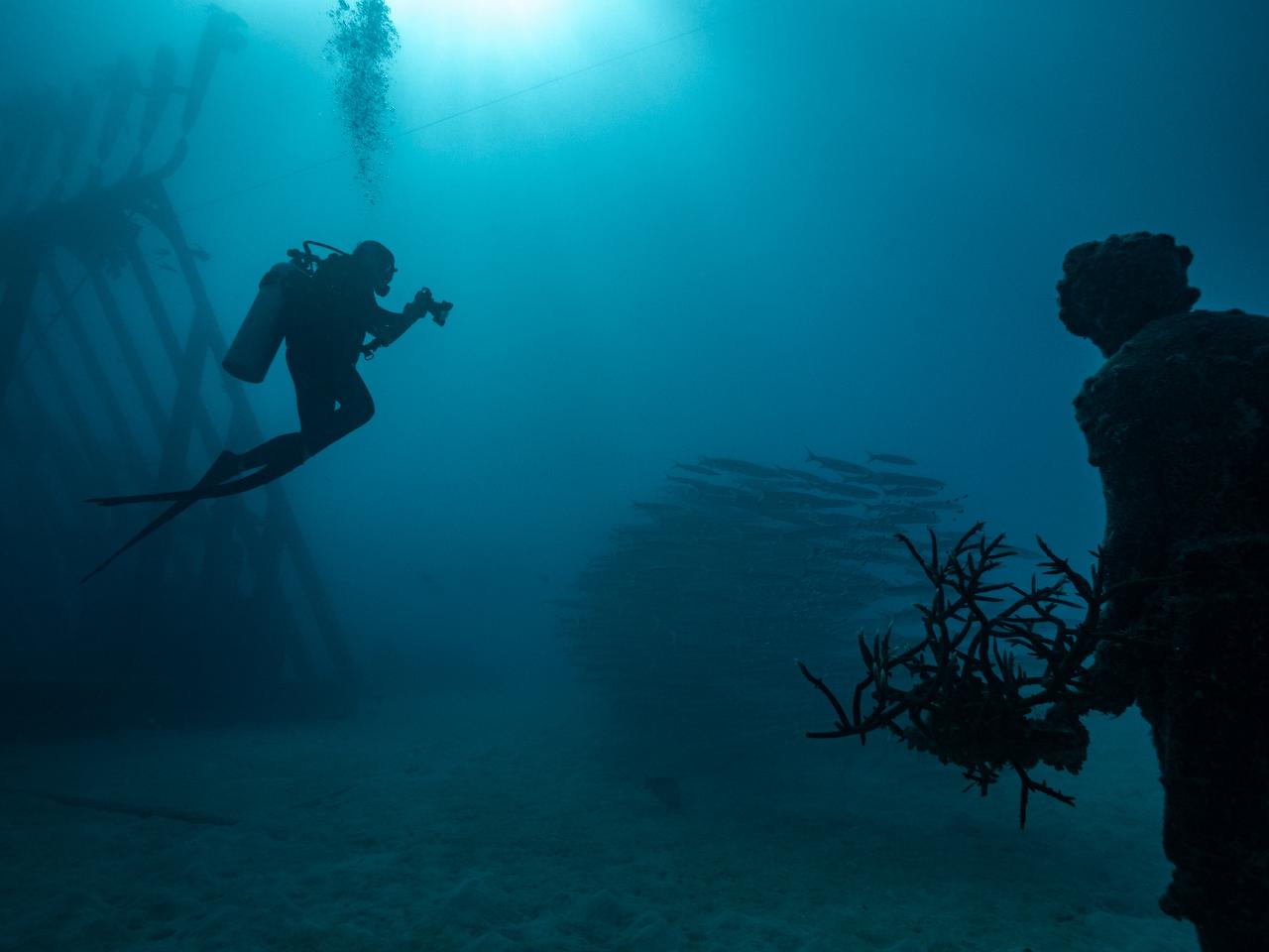 World Ocean Day Reef Expedition