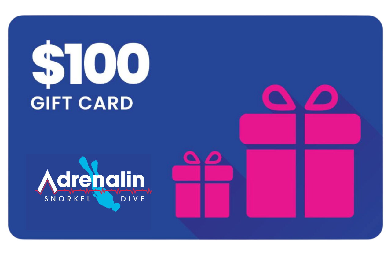 Gift Card $100