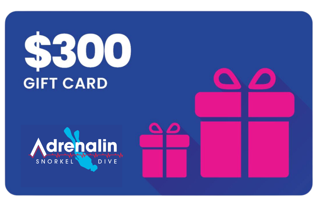 Gift Card $300