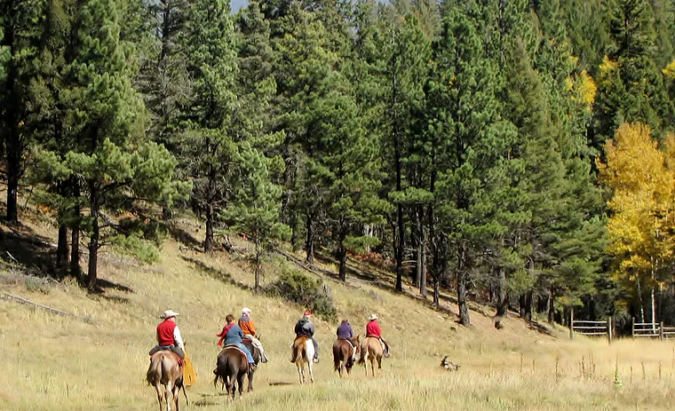 High Meadows Tour