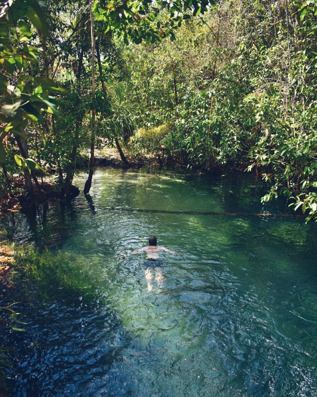 Available on Request - Remote Swimming Hole Helicopter Adventure - Tiwi ...