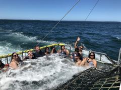 Jervis Bay Summer Boom Netting