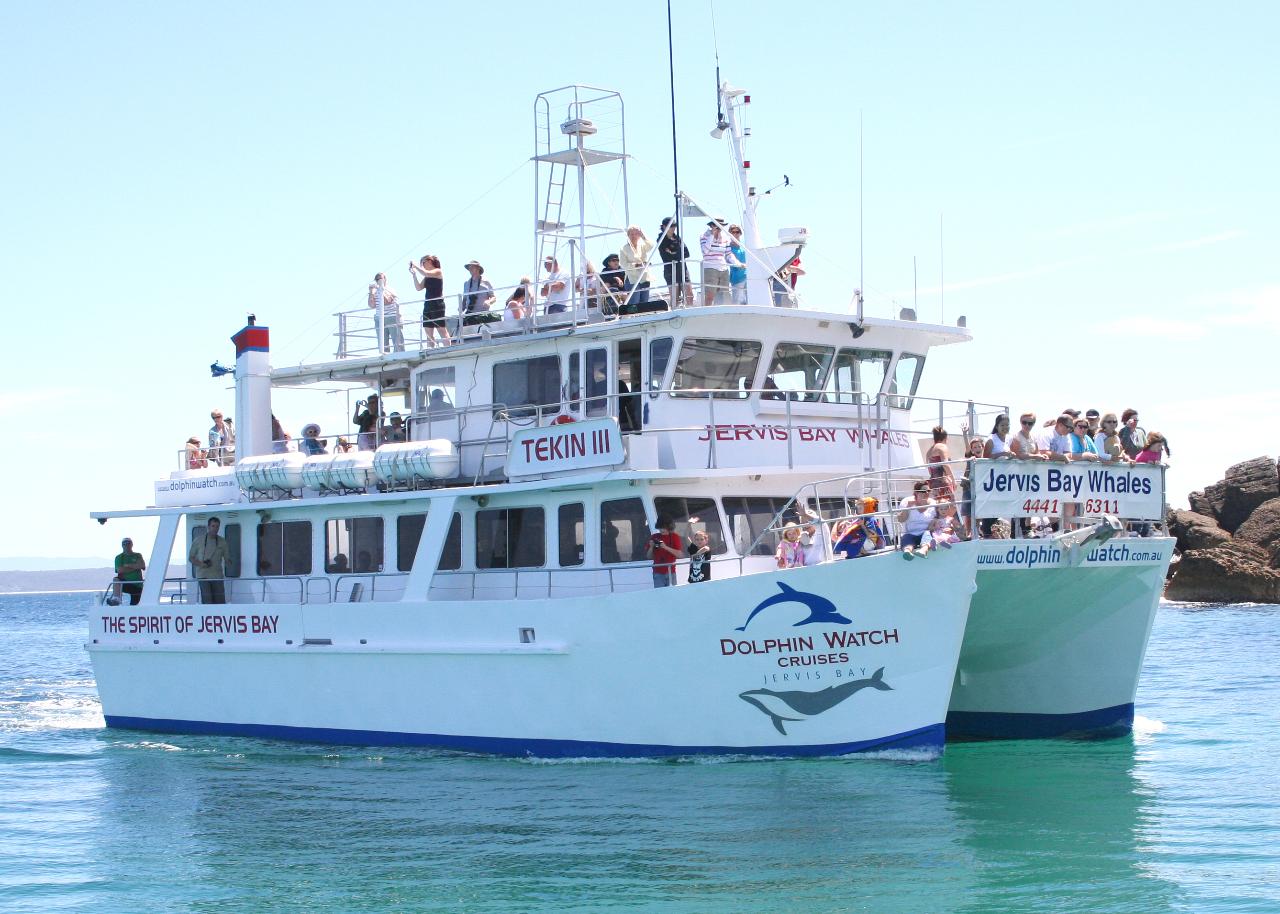 Discover Jervis Bay Dolphin Cruise - :Jervis Bay Wild and Dolphin Watch ...