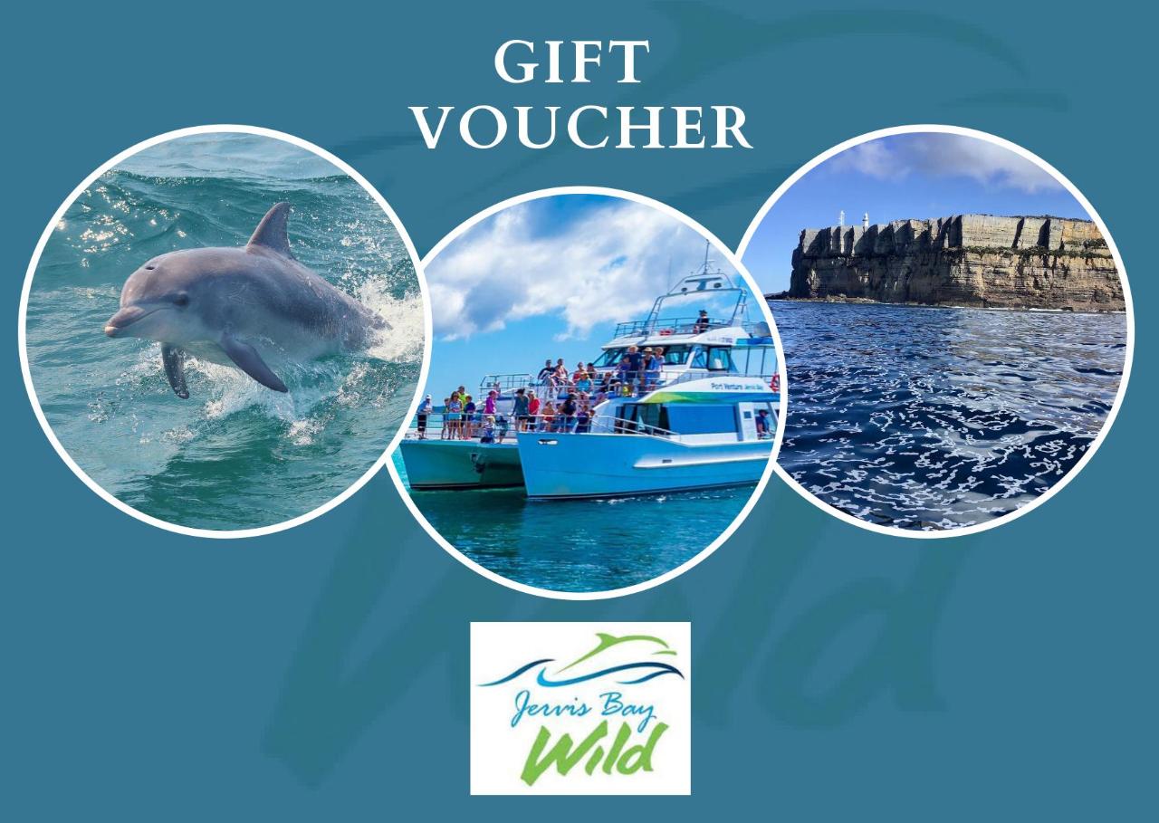 Discover Jervis Bay Dolphin Gift Voucher Child $27