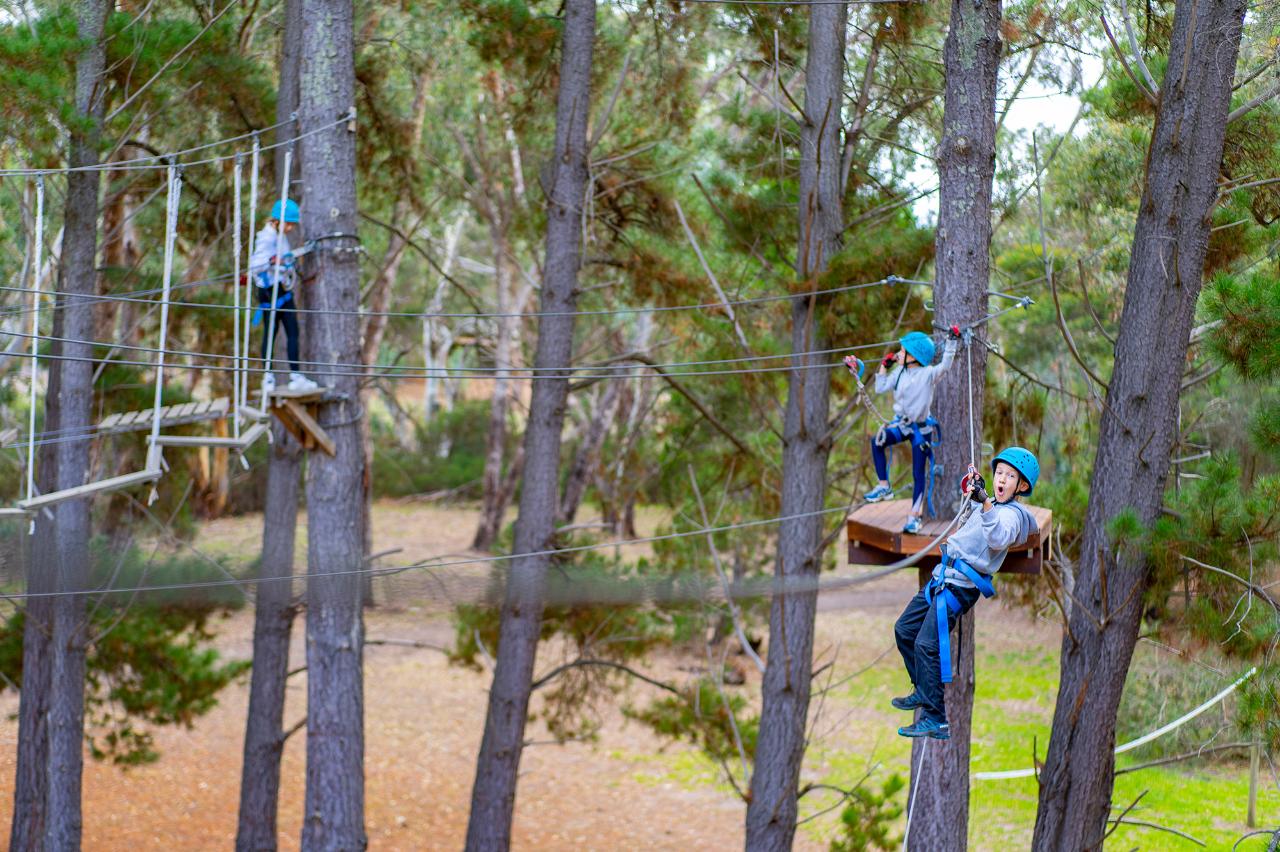 Southern Adventure Hub - Rock Climb & Ropes Course - Adventure Hubs ...