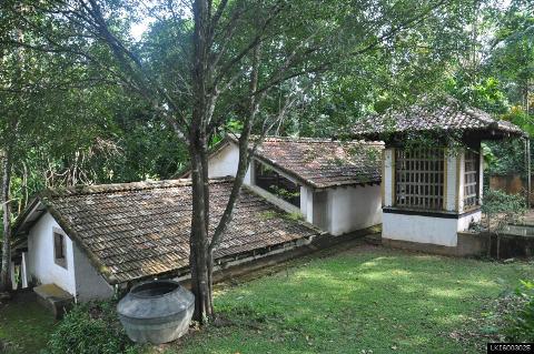 Lunuganga Estate, Turtles Hutchery and Madu River from Colombo Port