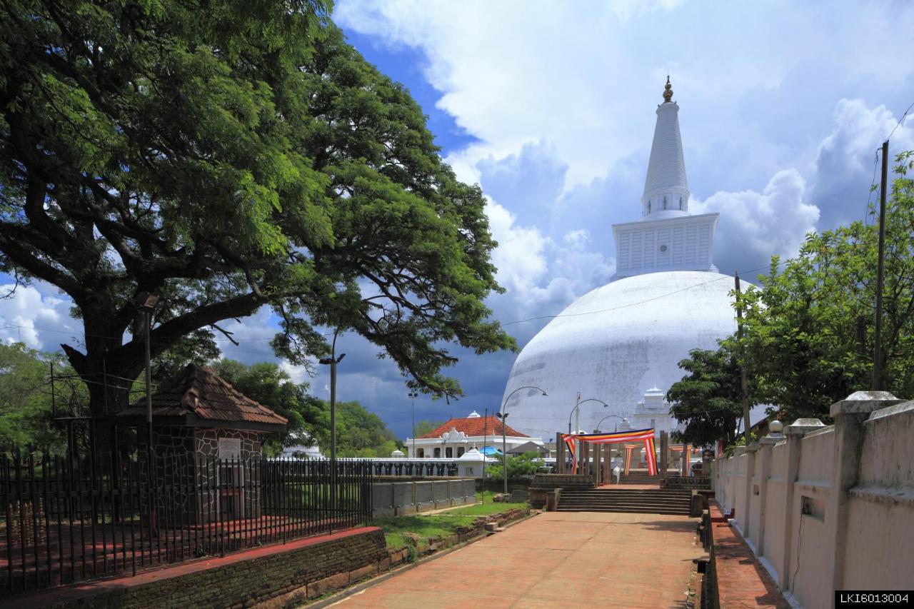 Sacred CIty of Anuradhapura and Mihintale from Sigiriya