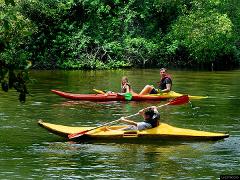 Canoeing From Mahaweli Reach